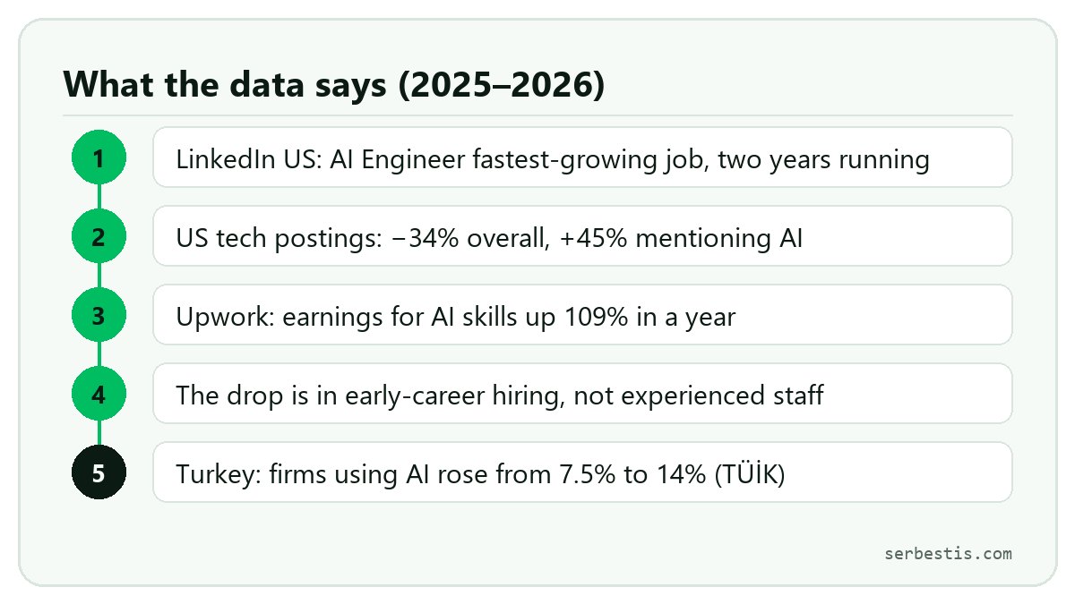 From developer to AI engineer: five findings from LinkedIn, Indeed, Upwork, Stanford and TÜİK data