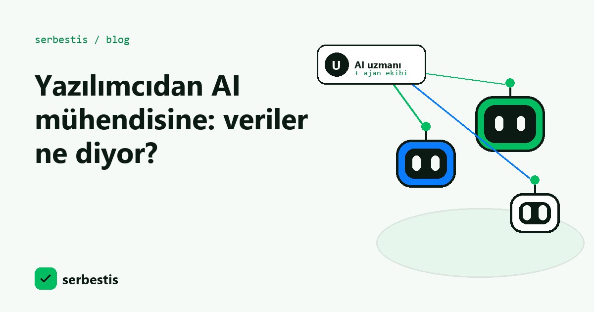 Yazılımcıdan AI mühendisine: veriler ne diyor? kapak görseli